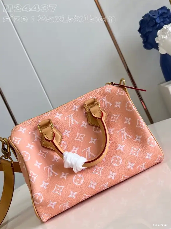 SPEEDY Louis Vuitton 25 0706